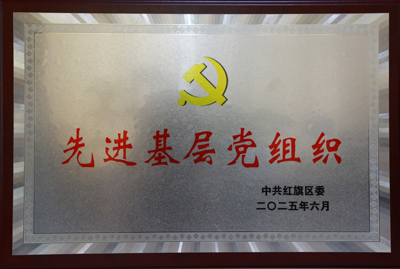 我公司黨委榮獲2025年度新鄉(xiāng)市紅旗區(qū)“先進(jìn)基層黨組織”榮譽(yù)稱(chēng)號(hào)