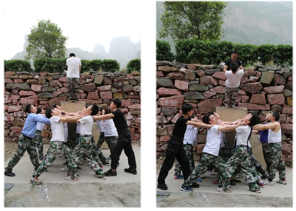 1494397488801097.jpg 5.jpg