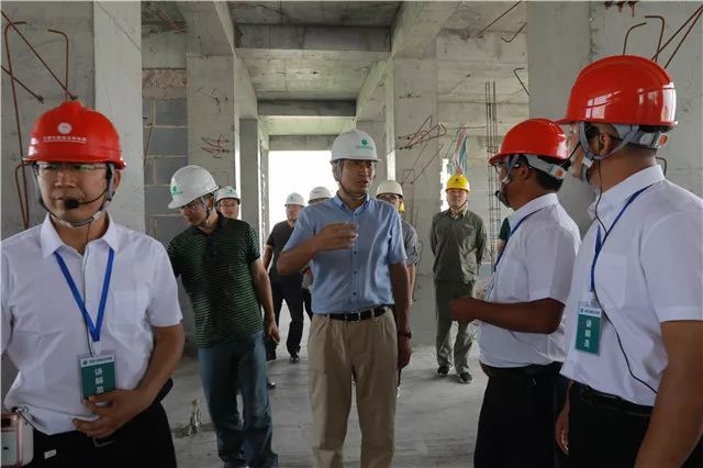 1533546594681734.jpg 8.jpg